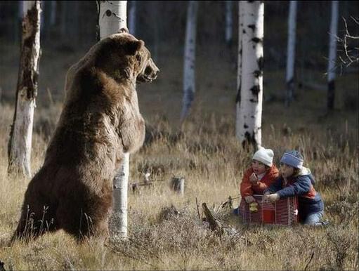 Однажды в лесу