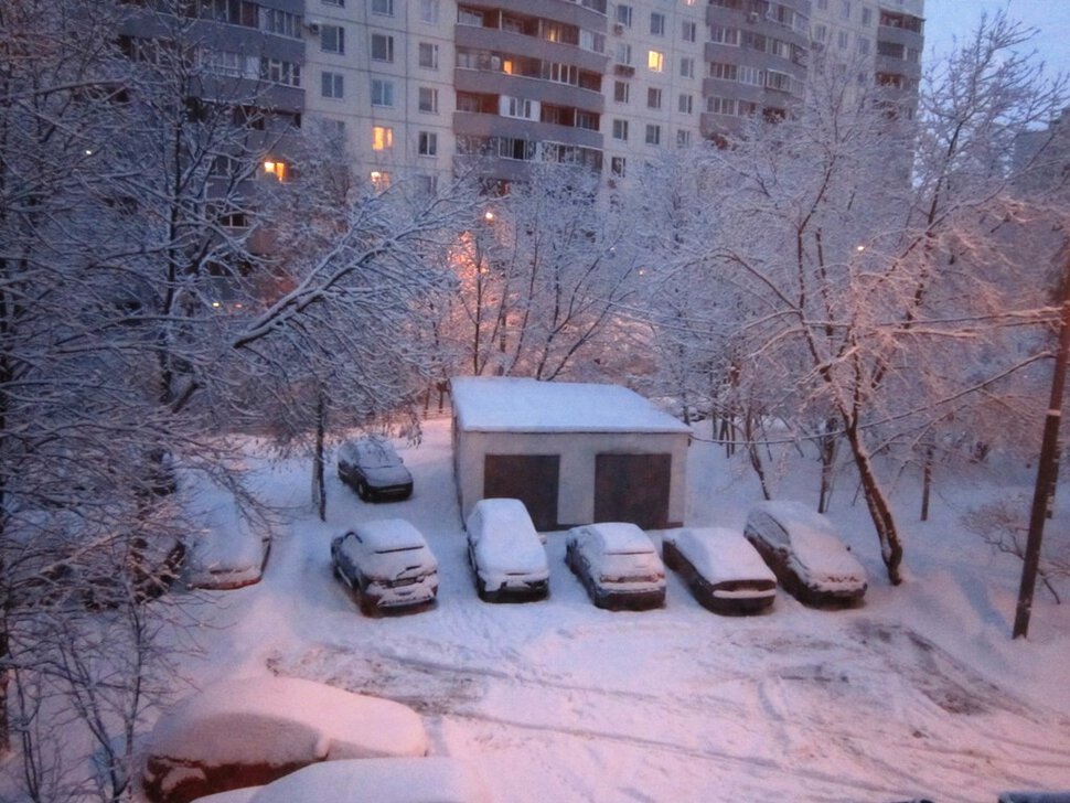 Последнее утро января. Вид из окна