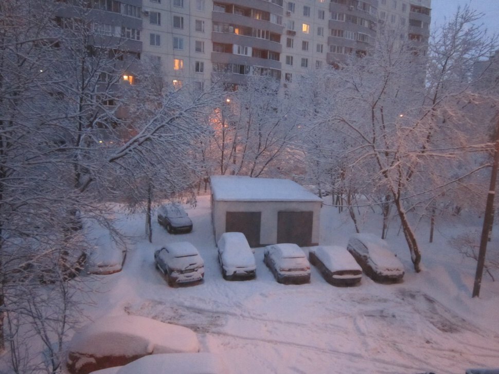 Последнее утро января. Вид из окна