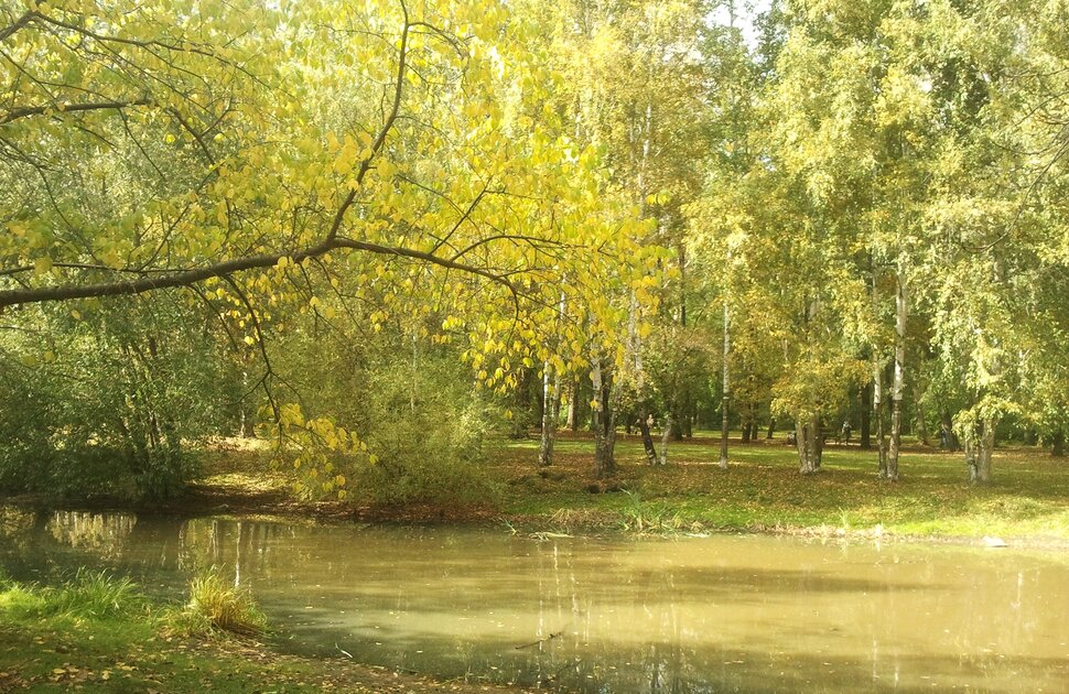 Сентябрь