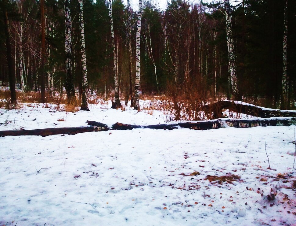По лесочку