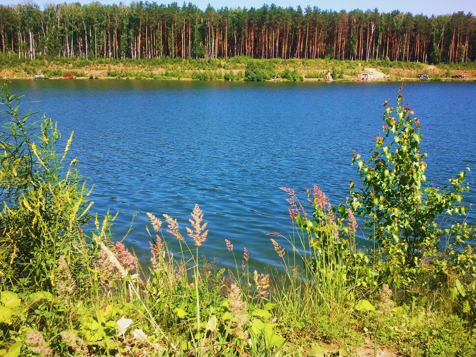 В июле у озера