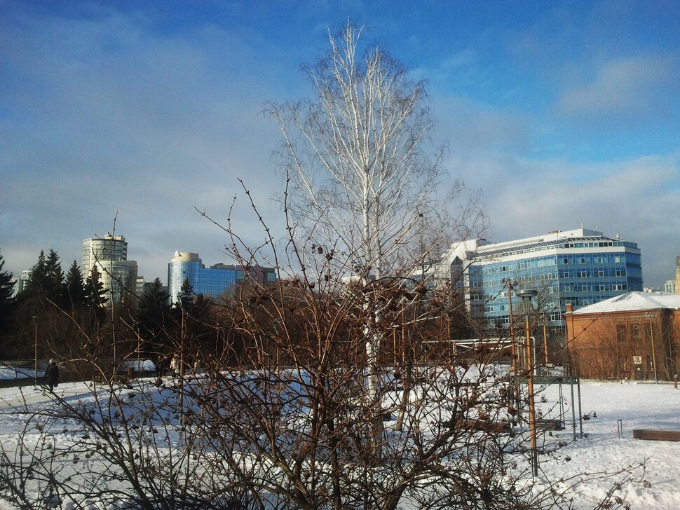 В заснеженном сквере