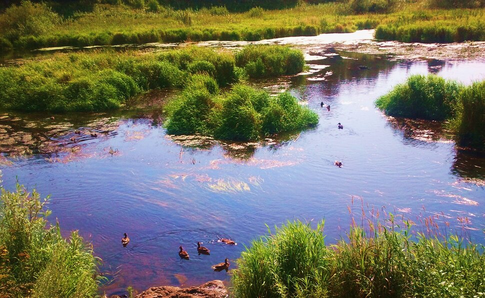 У реки