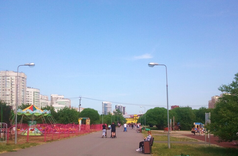 В парке летом