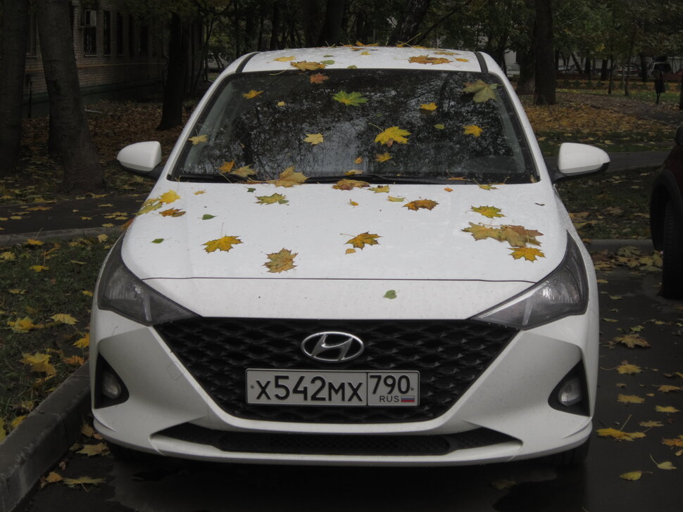 Hyundai в кленовых листьях