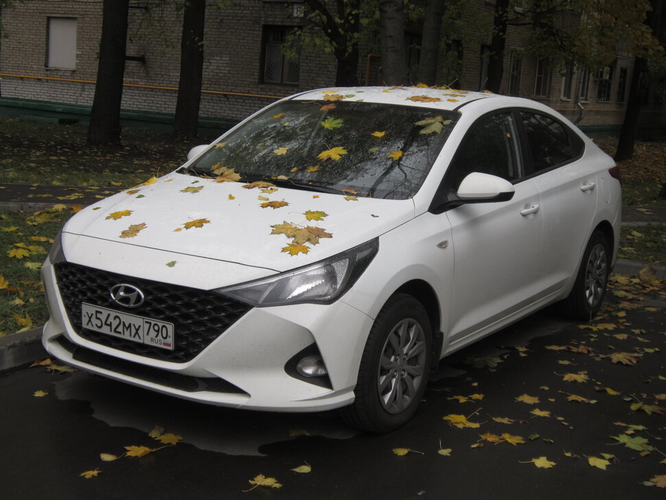 Hyundai в кленовых листьях