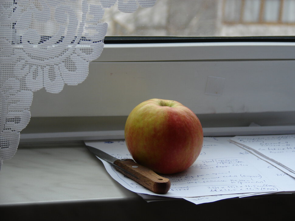 Ноябрьское яблоко из малой родины
