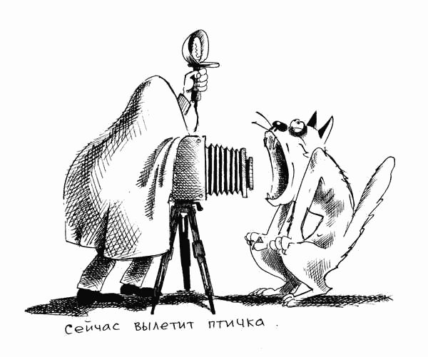 Фотограф пошутил сейчас вылетит птичка схема предложения