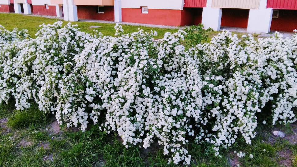 Белоснежный водопад