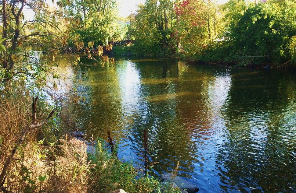 Осенью у реки