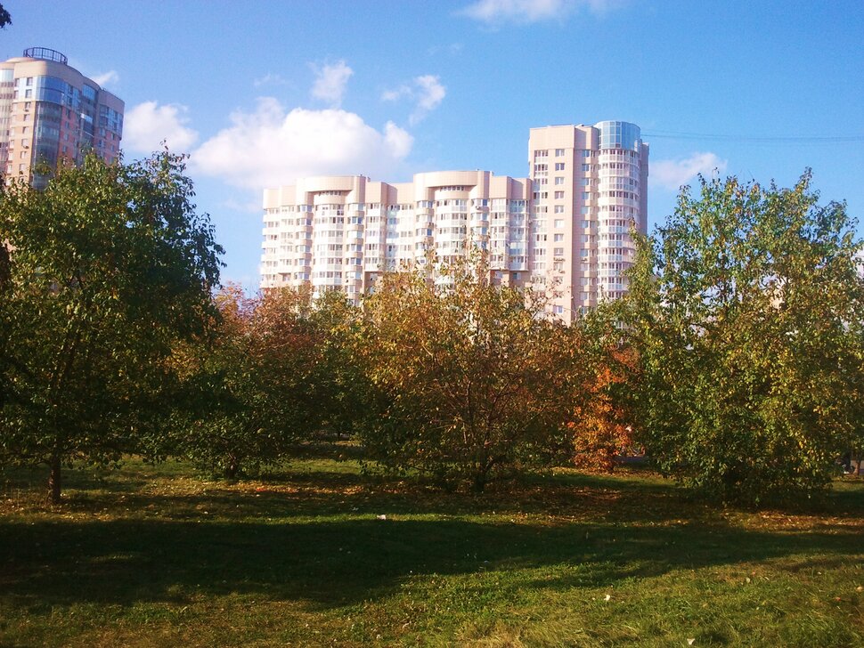 Осенью в парке