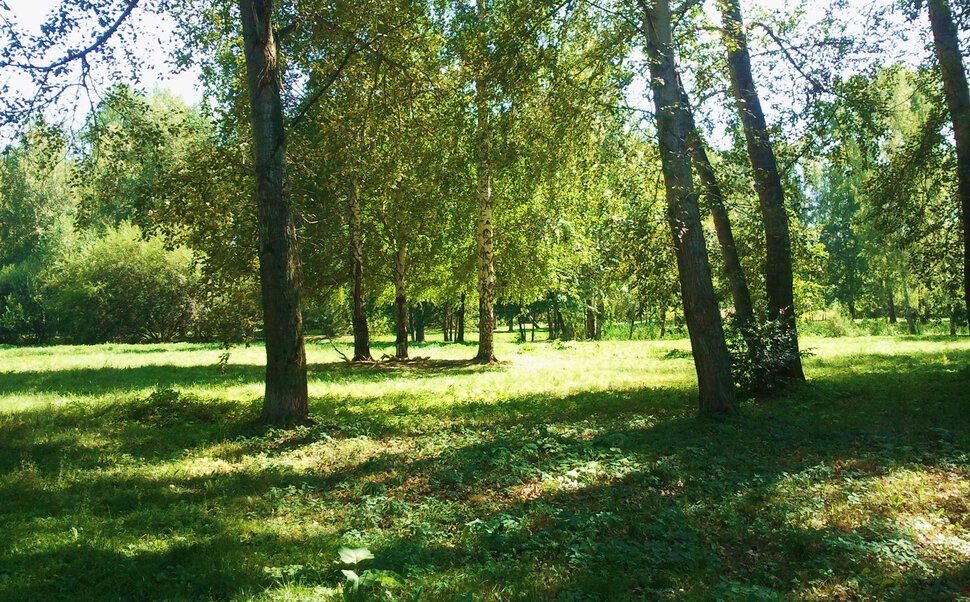 По августовским полянкам