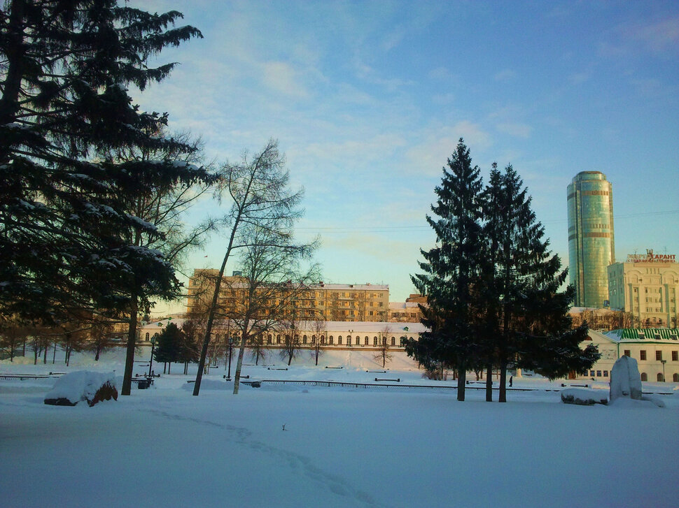 Зимой в парке