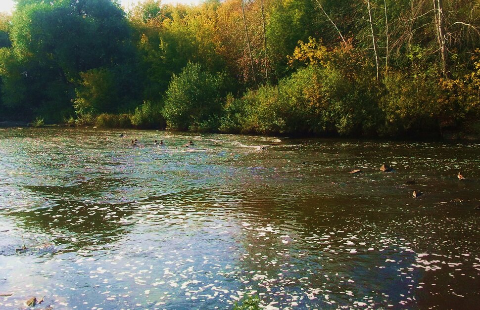 Осенью у реки