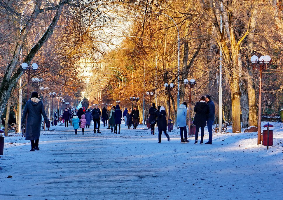 Декабрьские аллеи парка