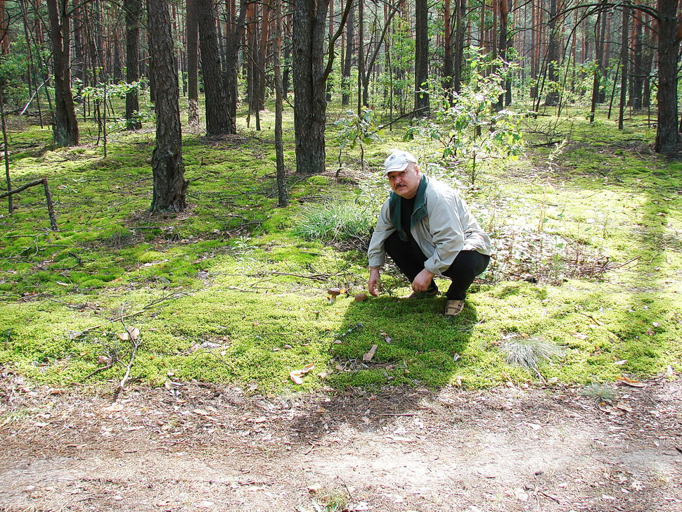 И кого только не встретишь в осеннем лесу!