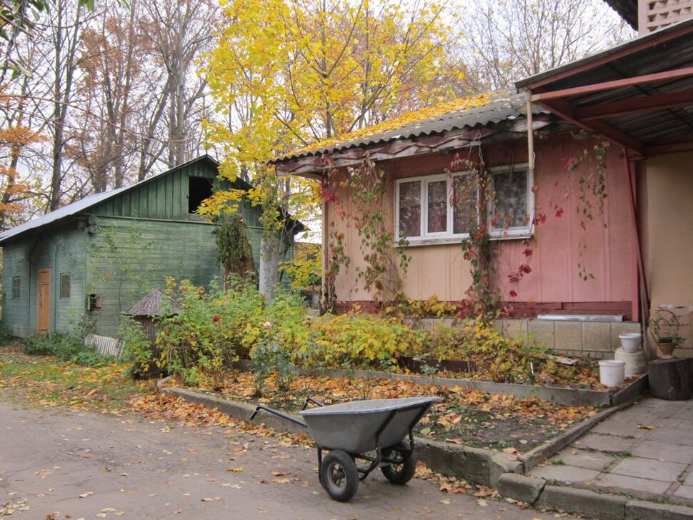 Осень в Тимирязевке