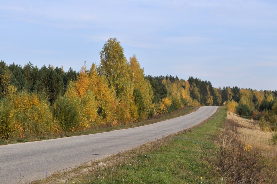 По дороге в деревню