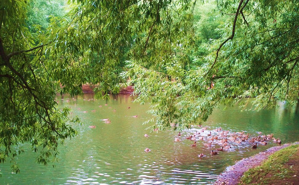 Сентябрь