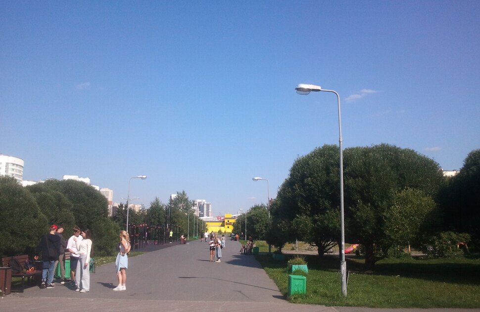 В парке летом