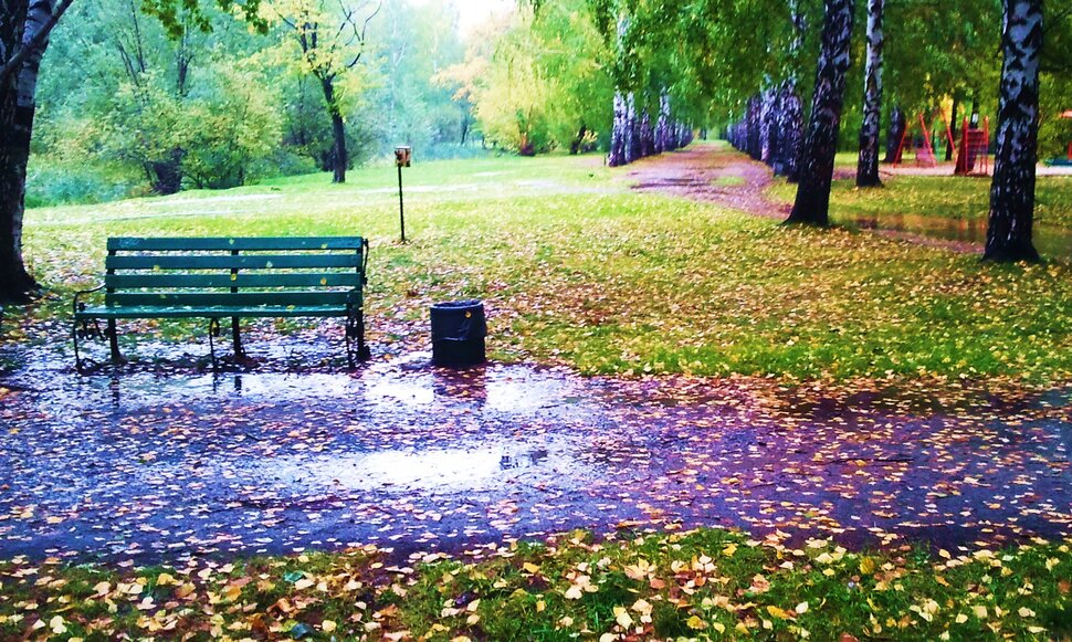 Одинокая скамейка в заскучавшем парке