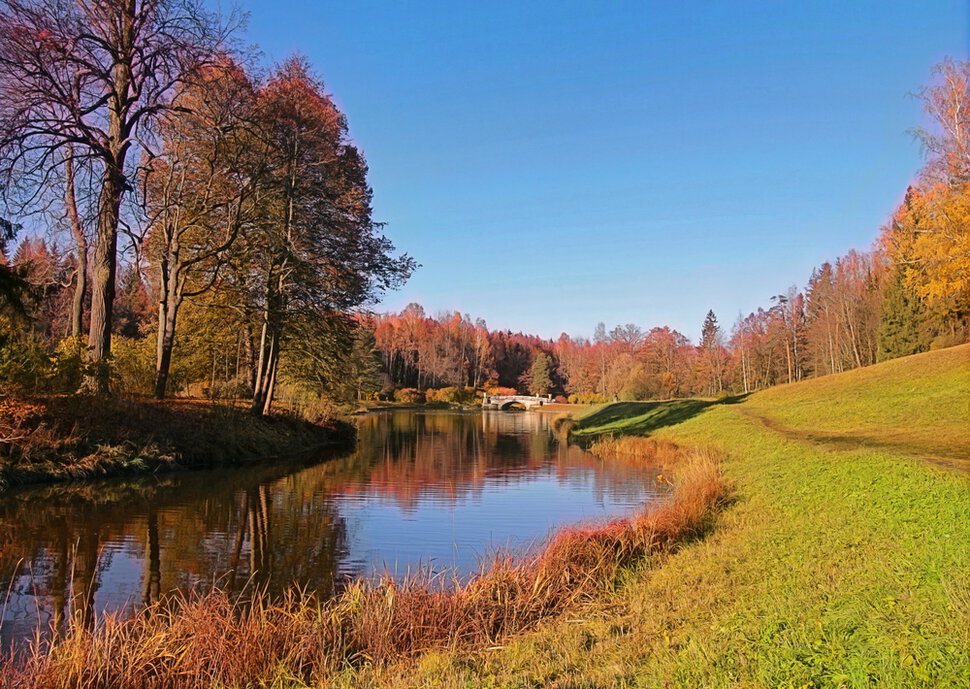 Осенний парк