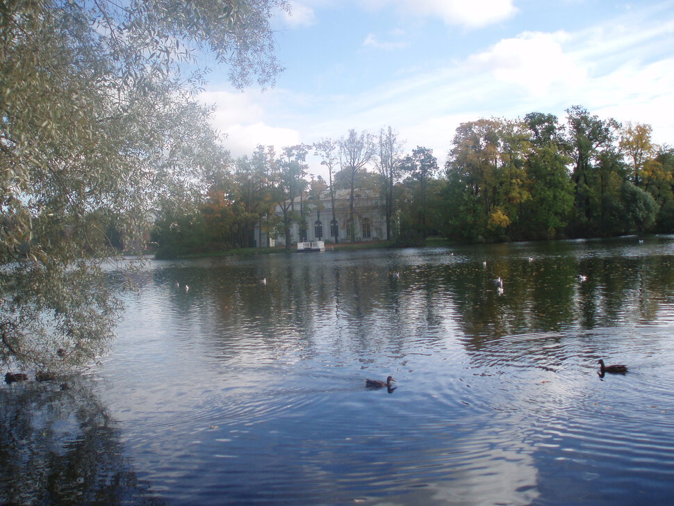 Царское село. В парке