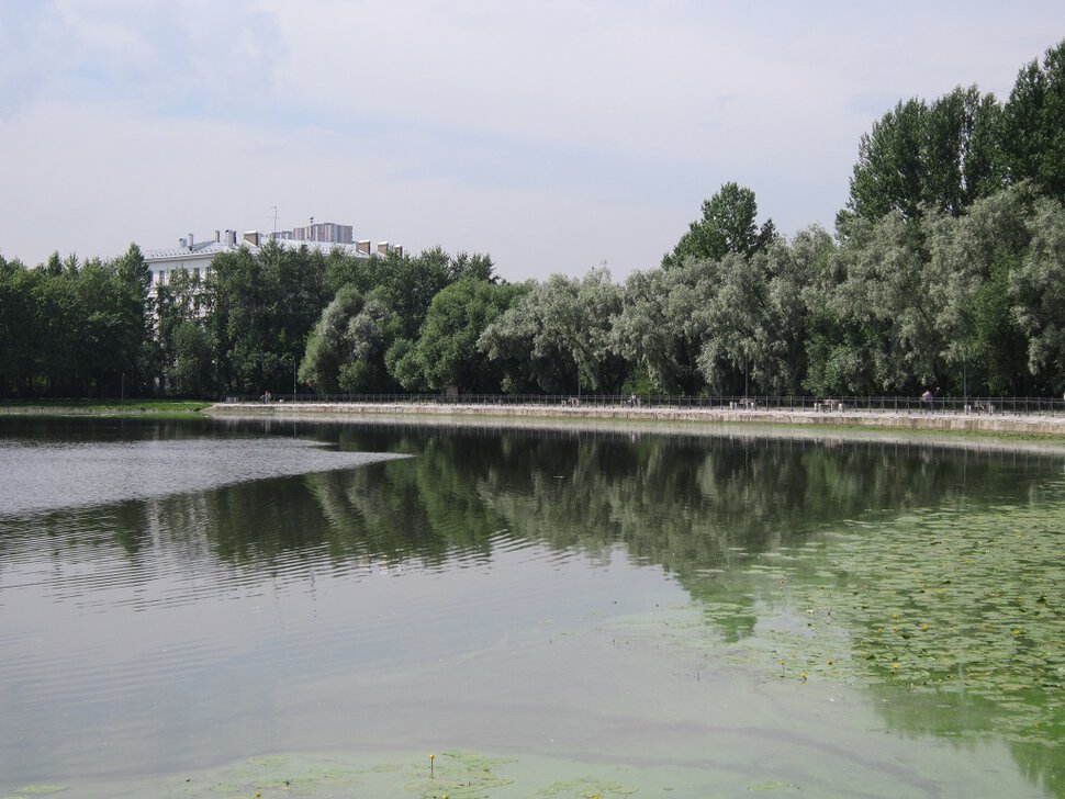 Головинский пруд в июле