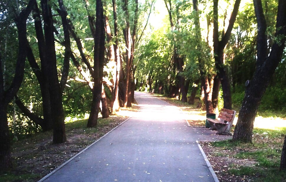 По дорожке