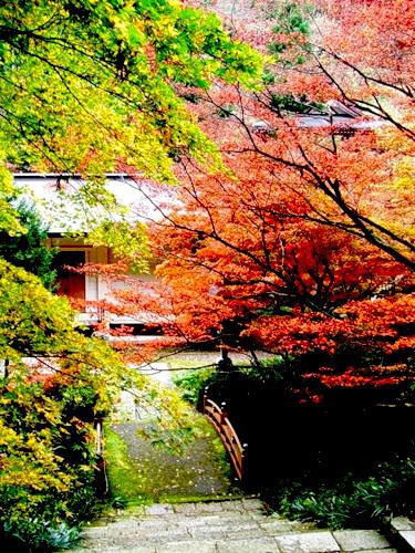 Японский пейзажный сад