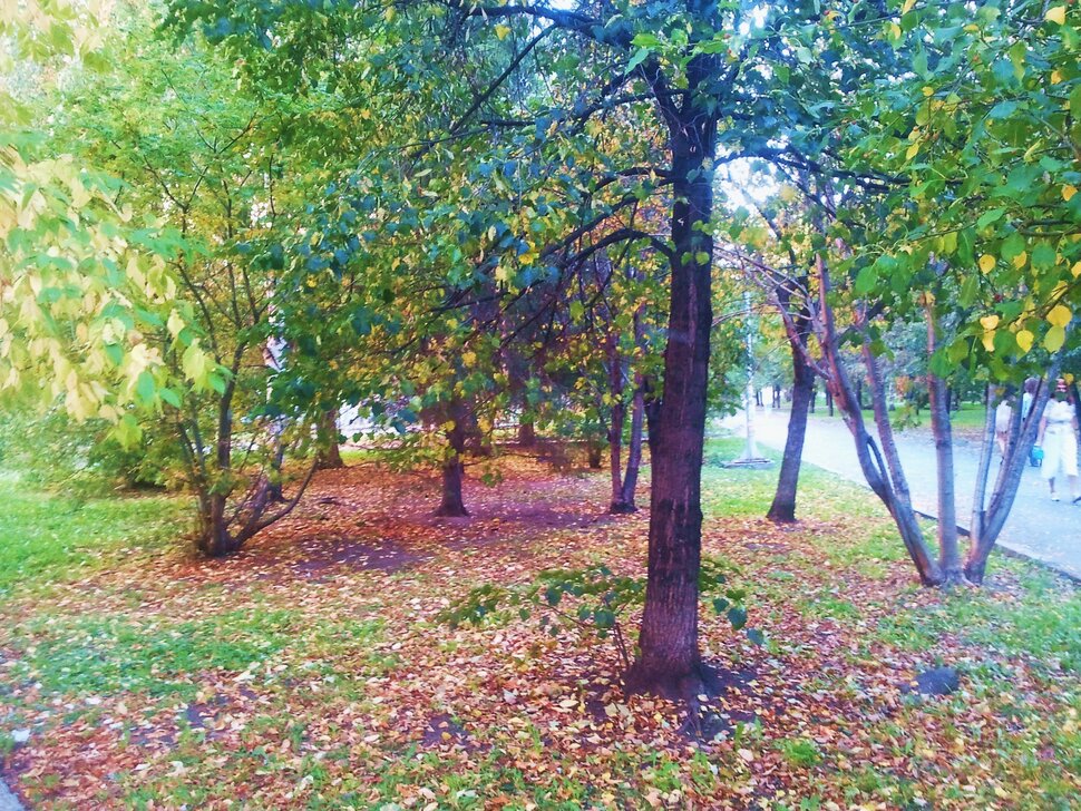 Сентябрь