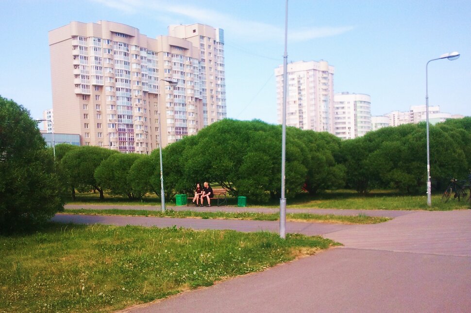 В парке летом