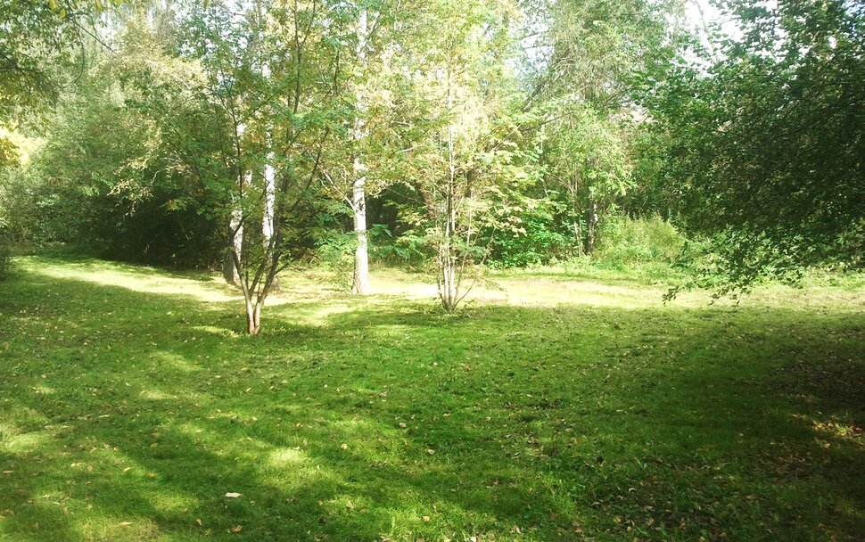 По лесочку