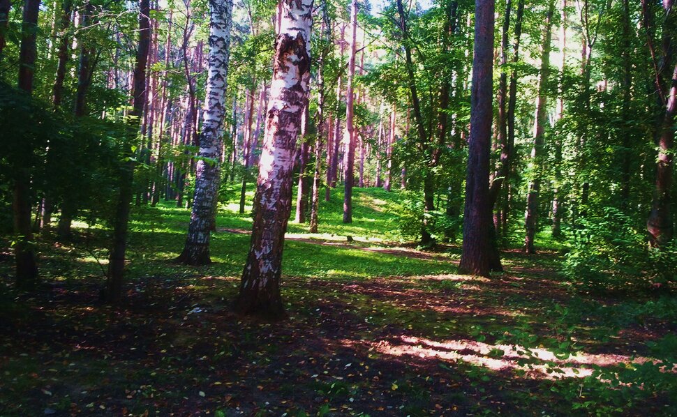 Сентябрь
