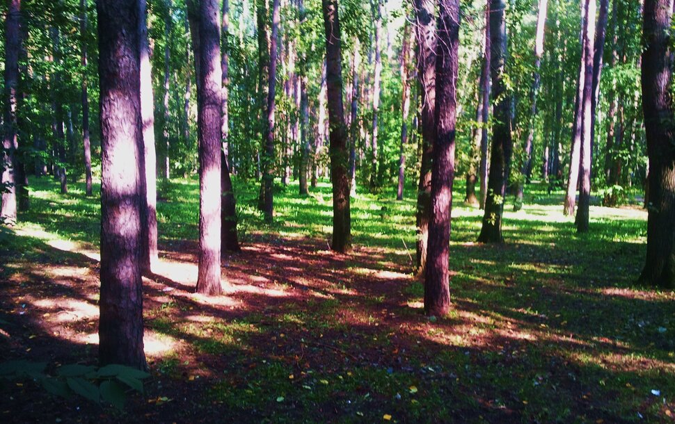 Сентябрь