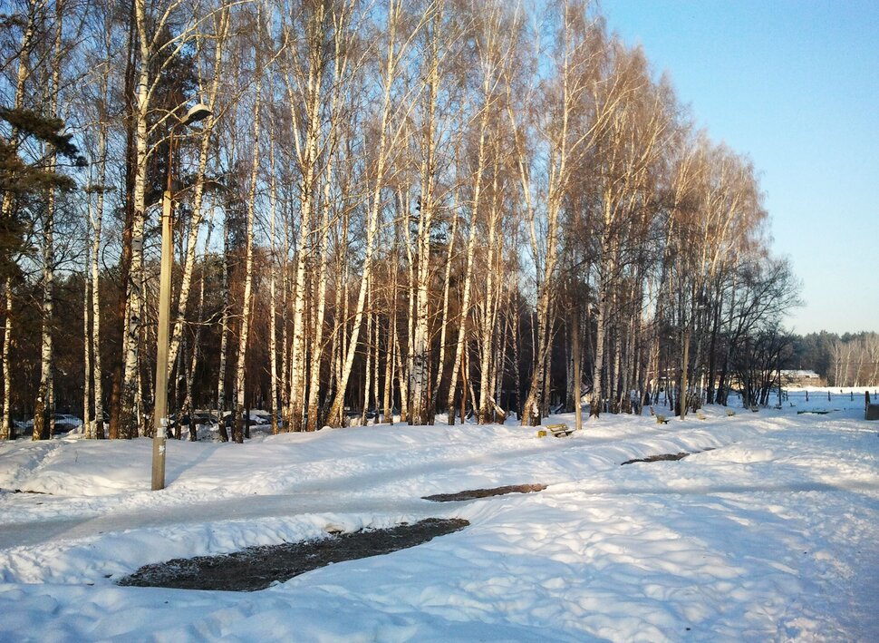 Зимой в парке