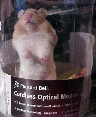 Оптическая мышь