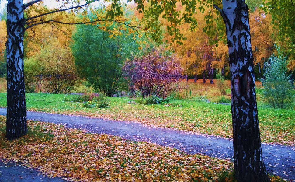 Осеннее разноцветье