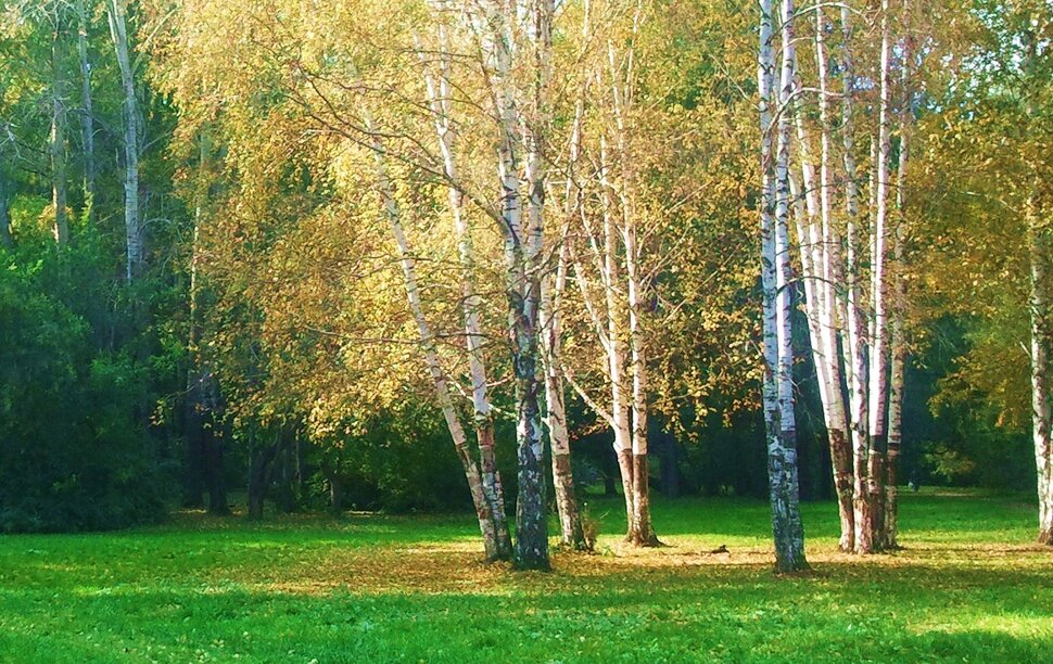 Осенний хоровод