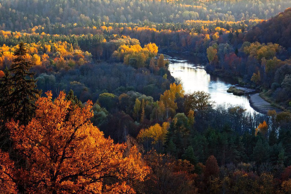 Краски Осени