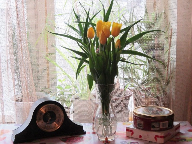 Натюрморт с часами и тюльпанами
