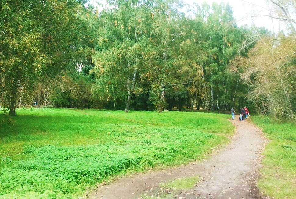 По лесочку
