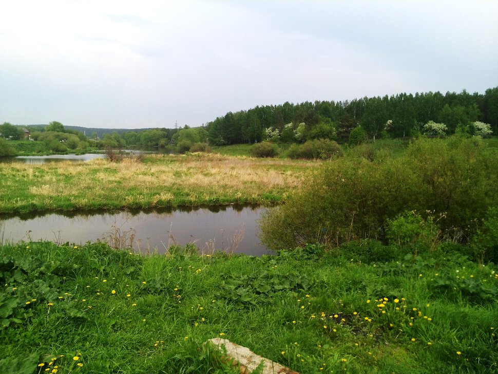 Пойма реки Патрушихи