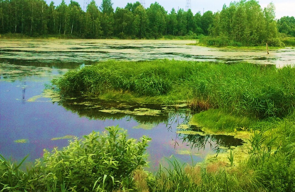 У реки
