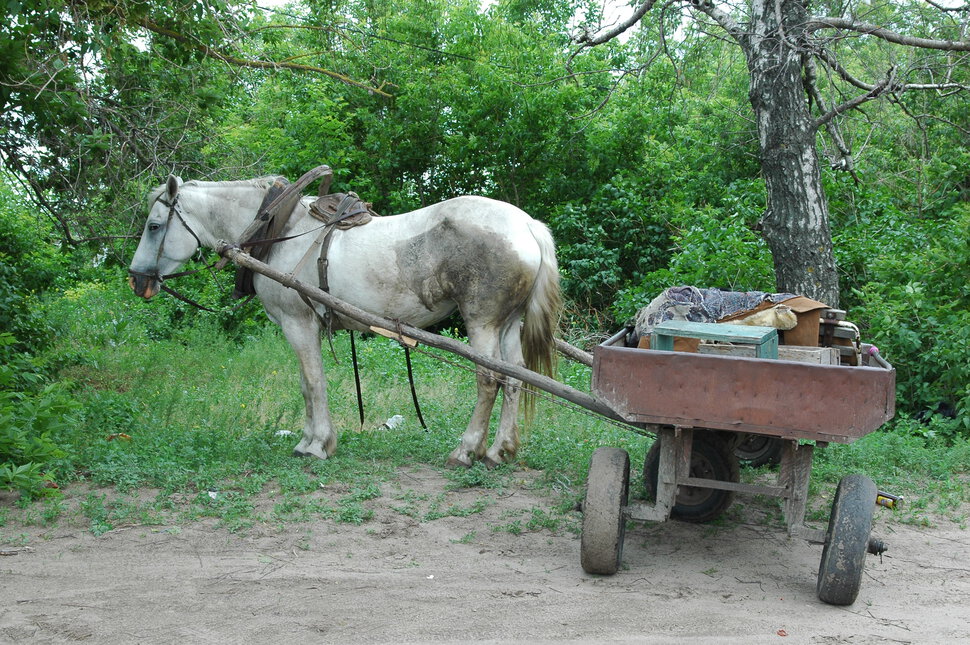 В усадьбе