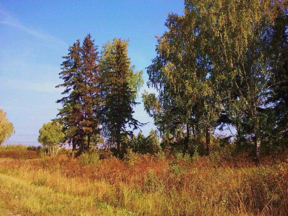 Осенний пейзаж