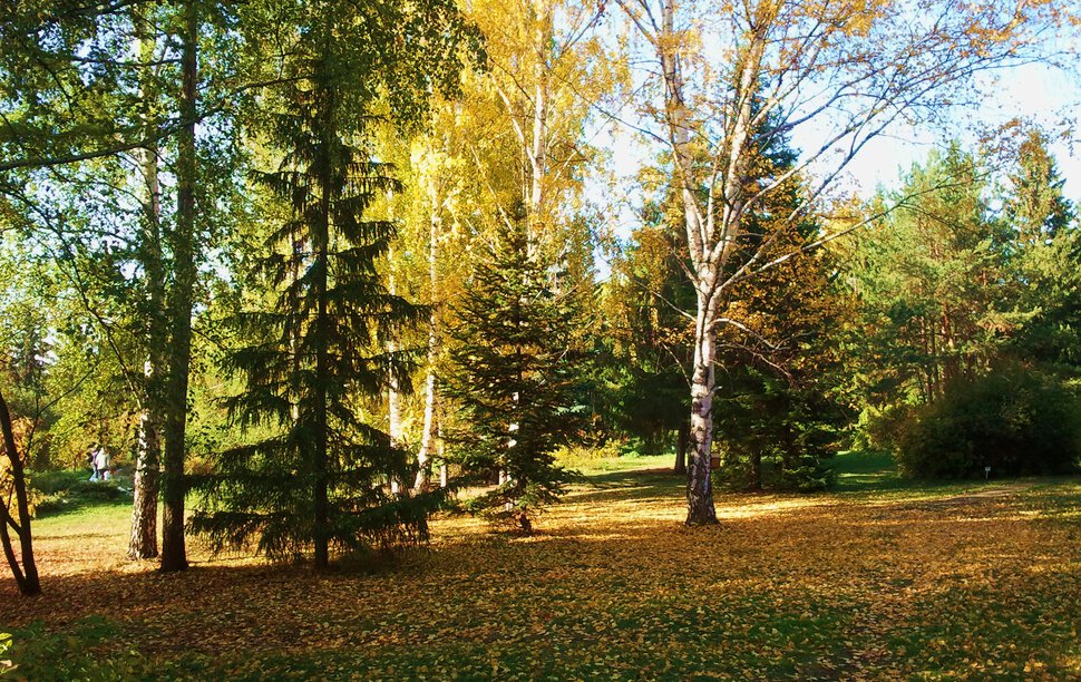 Осенью на пригорке