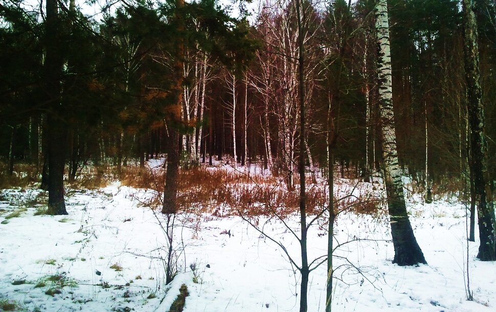 По снегам
