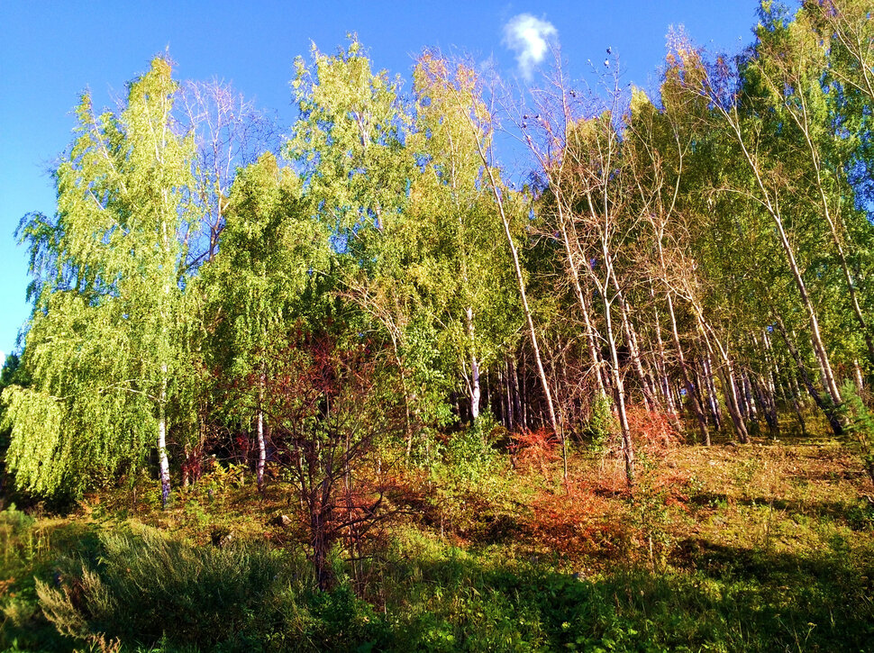 По Уралу